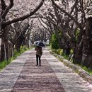 강서구청역 이미지