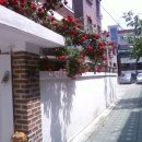 역촌-018 Daum카페