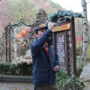 평창 허브나라와 오대산 월정사 단풍구경 이미지