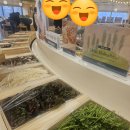 과천든든약국 | 샤브올데이 과천주차점 런치 후기｜가성비 좋은 샤브샤브 뷔페