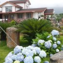 올레벗 게스트하우스 이미지