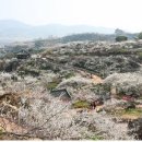 섬진소프트 이미지