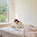 포시즌시스템 이미지