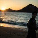 무화과민박 이미지