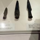 세형전기