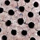 연탄직매소 이미지