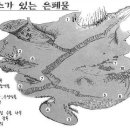 배스를 찿아서 1 이미지