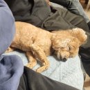 다올실업 이미지