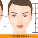 오장육부 이미지
