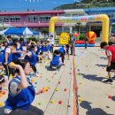 예곡초등학교 이미지