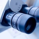 주식회사 진약품 이미지