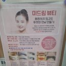 렉슬아카데미 | 4blog.net [서울/도곡동] 미드림 뷰티 눈썹 문신 체험 후기(강추 ^^)