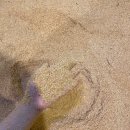 생생생공화국 이미지