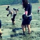 세어도 민박 이미지