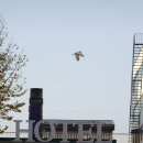 삼화목욕탕 이미지