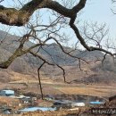 대안2리마을회관 이미지