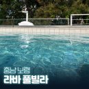 라바커피 | 충남 보령 풀빌라 독채 펜션 라바 풀빌라 후기, 숙박 페스타 할인