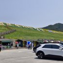 장성호 출렁다리(넘실정) 이미지