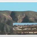 팜스프링 이미지