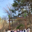 천생산성 유아숲체험원 이미지