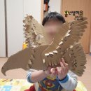 지구박스 이미지