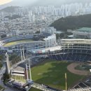 꽃돼지실비