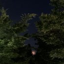 싱글벙글세탁