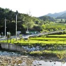 도새울마을 이미지