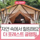 UR(광주시)-23[경충대로]-상-8 | [방문 후기] 국내 최초 스포츠테마파크 팀업캠퍼스 더 포레스트 글램핑장