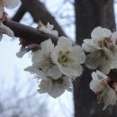 2016-03-0002