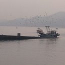 대호만로 이미지