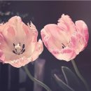 만수6동-9 이미지
