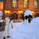 (주) 삿포로 참치 | 삿포로 2박3일코스 오타루 당일치기 스프카레 후기