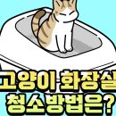 178. 고양이 화장실 청소 방법! 이미지