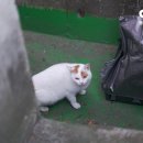 헌하우스 이미지