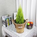 남동화원 이미지