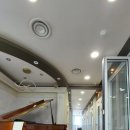 엔젤음악학원 - 동구 대전로867번길 28 | 엔젤음악학원