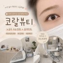1367 | 대전 갈마동 속눈썹펌 추천｜‘코랄뷰티’ 노글루속눈썹펌 대만족 후기😝🩵