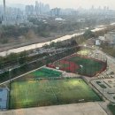 송파구장애인운전교육원 | 송파 헬리오시티 탄천 야외 농구장, 야구장, 축구장, 풋살장, 애견운동장