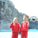 숲푸레어린이집 이미지