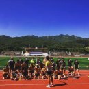 팀크레모아 이미지