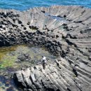 주상농장 이미지