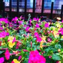 동남(아) 이미지