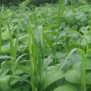 순환농장 이미지