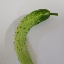 영옥농장 이미지