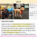 피티 아지트(PT AZIT) 이미지