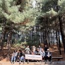 철길따라공원 | 노원역사문화해설사 양성과정....경춘선 숲길을 걷다 , 해설가의 눈으로 본 노원의 시간