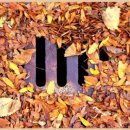 강원하수구 이미지