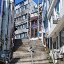 아코디언 켜는 사람 이미지