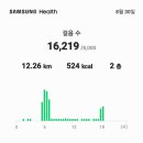 백중날 만보인증 곳감걸이에 홍고추 말리기 12.26km 16.219보 이미지